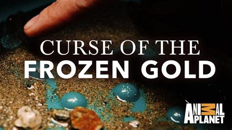 Curse og the frozen gold
